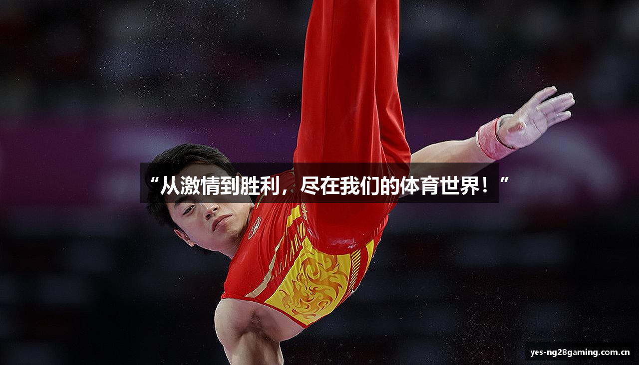 体育娱乐